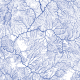 Illustration for article titled All the Rivers in the US Look Like Veins With Blue Blood